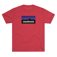 Load image into Gallery viewer, STANKONIA
