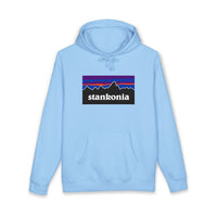 Load image into Gallery viewer, STANKONIA - Heavyweight fleece-lined hoodie
