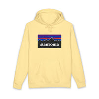Load image into Gallery viewer, STANKONIA - Heavyweight fleece-lined hoodie
