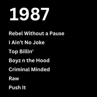 Load image into Gallery viewer, 1987 HIP HOP
