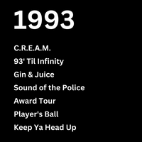 Load image into Gallery viewer, 1993 HIP HOP

