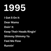 Load image into Gallery viewer, 1995 HIP HOP
