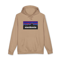 Load image into Gallery viewer, STANKONIA - Heavyweight fleece-lined hoodie
