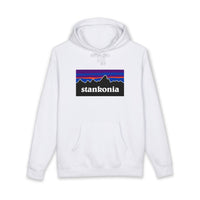 Load image into Gallery viewer, STANKONIA - Heavyweight fleece-lined hoodie
