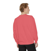 Load image into Gallery viewer, Catalina Island Dolphin Sweatshirt, Unisex Apparel, Beach Gear, Casual Wear, Vacation Clothes, Graphic Sweatshirt
