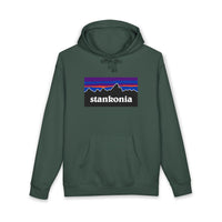 Load image into Gallery viewer, STANKONIA - Heavyweight fleece-lined hoodie
