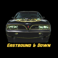 Load image into Gallery viewer, EASTBOUND &amp; DOWN
