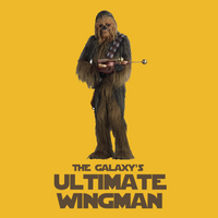 Load image into Gallery viewer, THE GALAXY&#39;S ULTIMATE WINGMAN
