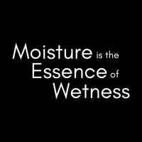 Load image into Gallery viewer, MOISTURE IS THE ESSENCE OF WETNESS
