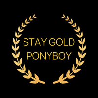 Load image into Gallery viewer, STAY GOLD PONYBOY
