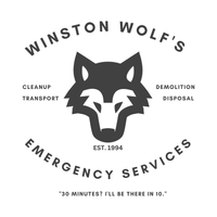Load image into Gallery viewer, WINSTON WOLF CLEANUP SERVICES
